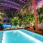 lithium-becken-im-palmenparadi alle 3