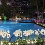 photo1jpg allemagne 7